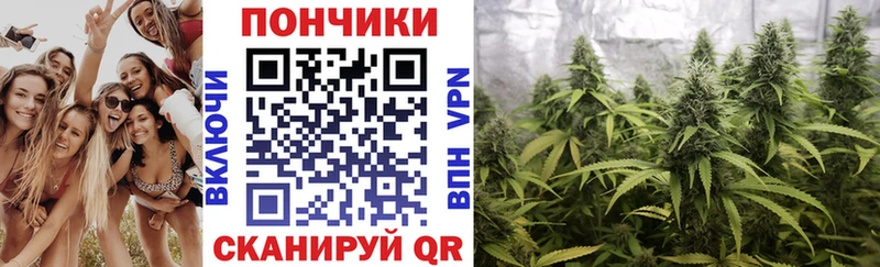 Магазины продажи наркотиков Алексин СК kraken вход Марихуана