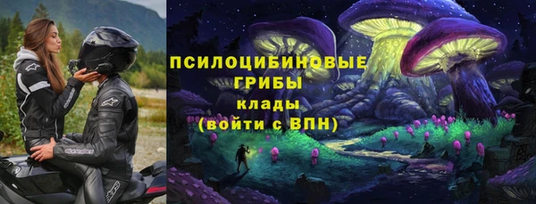 spice Абаза