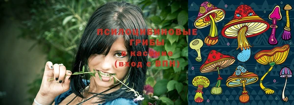 мдма Осташков