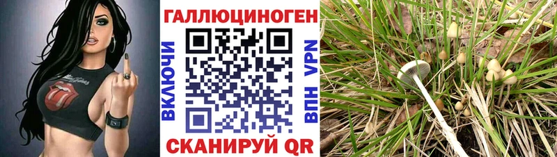 Галлюциногенные грибы прущие грибы Алексин
