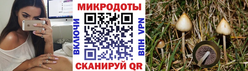Галлюциногенные грибы мухоморы  Алексин 